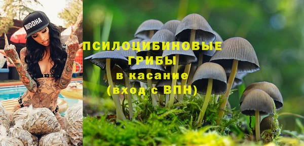 МДПВ Алексин