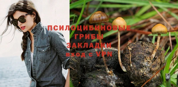 МДПВ Алексин