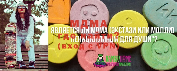 МДПВ Алексин
