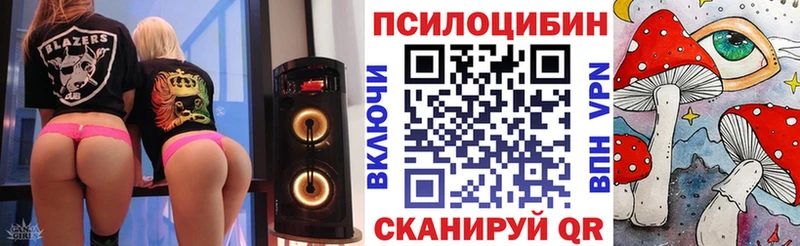 Галлюциногенные грибы мухоморы  закладка  Андреаполь 